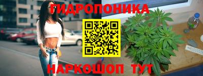 крисы Туймазы