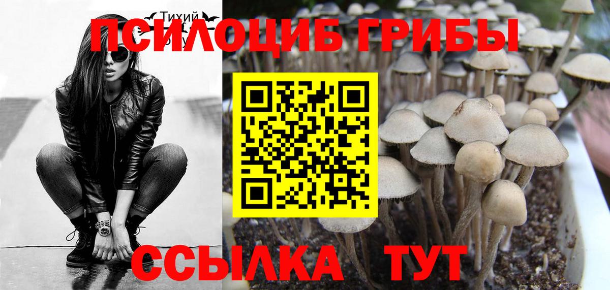 Псилоцибиновые грибы Cubensis  Вход с VPN  закладка  Лабинск 